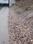 Foto: eingeschränkte Wege 